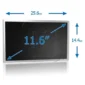 Laptop LCD Screen 11.6 inch B116XW02